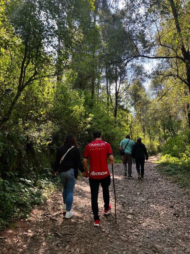 Senderos privados dentro de las 11 hectáreas de bosque
